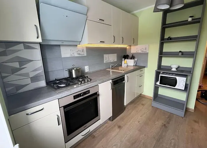 公寓 Kalnciema Flat *